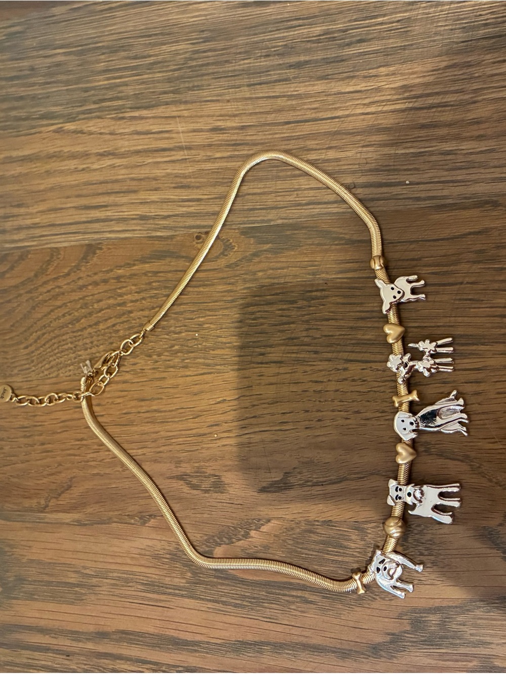 Gold Tone Dog Charm Necklace - Women Jewelry